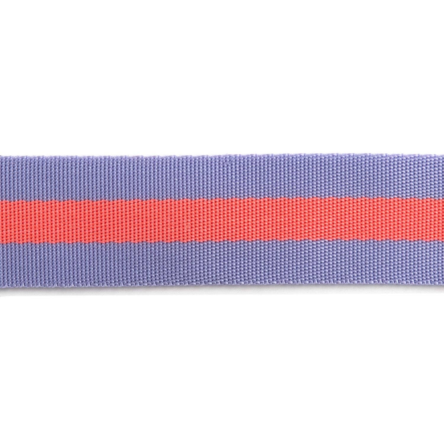 2yd Lavender and Pink - 1.5" Nylon Webbing - by Tula Pink