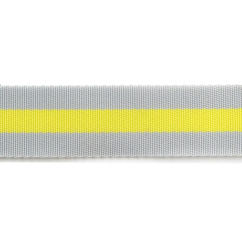2yd Soft Grey and Neon - 1.5" Nylon Webbing - by Tula Pink