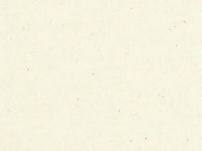 Unbleached Perm Press Muslin